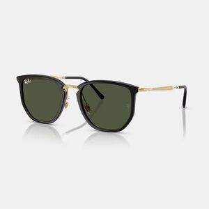 Ray-Ban Black Frames with Gold Detailing and Green Lenses RB4451